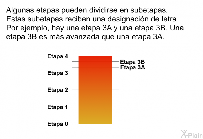 Algunas etapas pueden dividirse en subetapas. Estas subetapas reciben una designacin de letra. Por ejemplo, hay una etapa 3A y una etapa 3B. Una etapa 3B es ms avanzada que una etapa 3A.