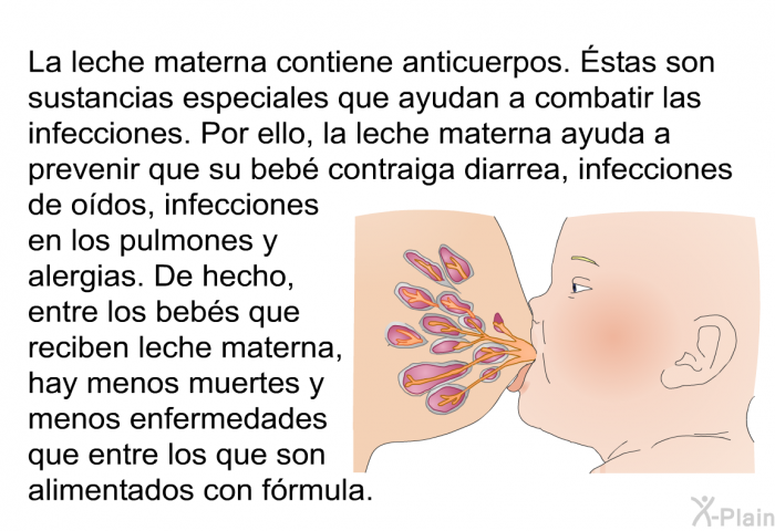 La leche materna contiene anticuerpos. Éstas son sustancias especiales que ayudan a combatir las infecciones. Por ello, la leche materna ayuda a prevenir que su beb contraiga diarrea, infecciones de odos, infecciones en los pulmones y alergias. De hecho, entre los bebs que reciben leche materna, hay menos muertes y menos enfermedades que entre los que son alimentados con frmula.