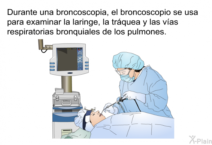 Durante una broncoscopia, el broncoscopio se usa para examinar la laringe, la trquea y las vas respiratorias bronquiales de los pulmones.