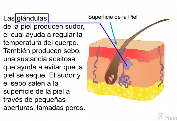  Quemaduras