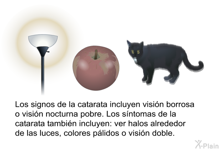Los signos de la catarata incluyen visi�n borrosa o visi�n nocturna pobre. Los s�ntomas de la catarata tambi�n incluyen: ver halos alrededor de las luces, colores p�lidos o visi�n doble.