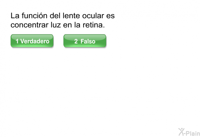 La funcin del lente ocular es concentrar luz en la retina.