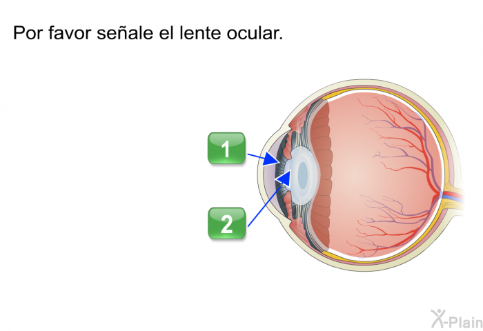 Por favor seale el lente ocular.