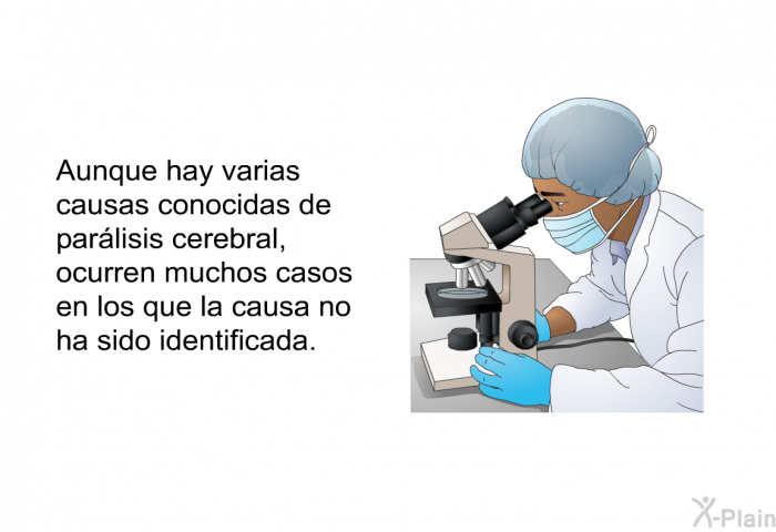 Aunque hay varias causas conocidas de parlisis cerebral, ocurren muchos casos en los que la causa no ha sido identificada.