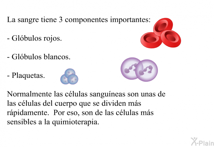 La sangre tiene 3 componentes importantes:  Glbulos rojos. Glbulos blancos. Plaquetas.  
 Normalmente las clulas sanguneas son unas de las clulas del cuerpo que se dividen ms rpidamente. Por eso, son de las clulas ms sensibles a la quimioterapia.