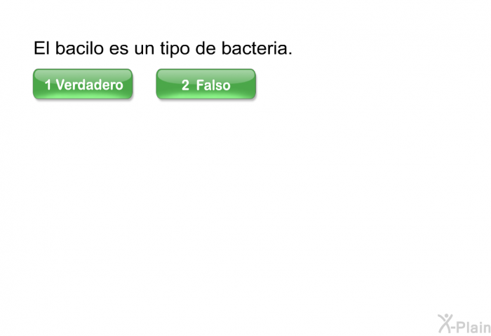 El bacilo es un tipo de bacteria.