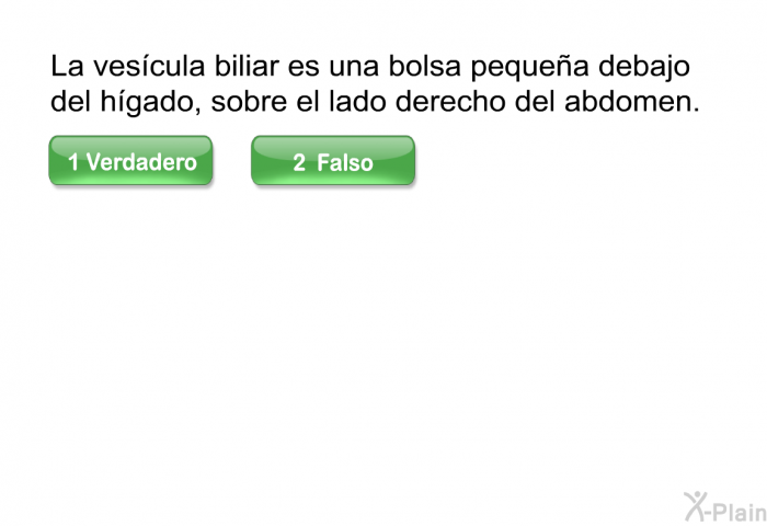 La vescula biliar es una bolsa pequea debajo del hgado, sobre el lado derecho del abdomen.