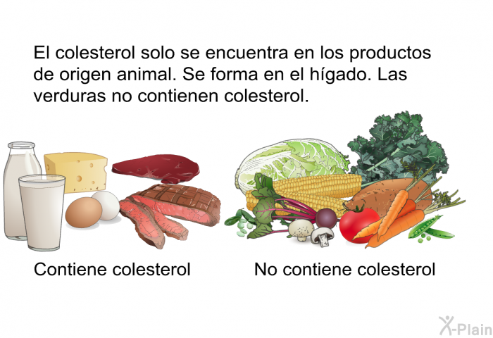 El colesterol solo se encuentra en los productos de origen animal. Se forma en el hgado. Las verduras no contienen colesterol.