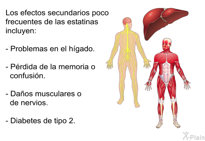 Los efectos secundarios poco frecuentes de las estatinas incluyen:  Problemas en el hgado. Prdida de la memoria o confusin. Daos musculares o de nervios. Diabetes de tipo 2.