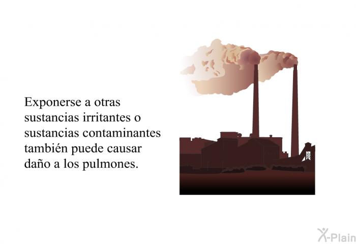 Exponerse a otras sustancias irritantes o sustancias contaminantes tambin puede causar dao a los pulmones.