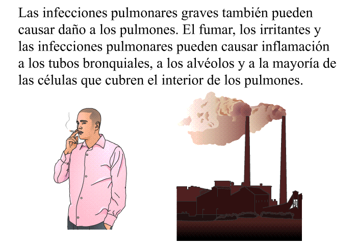 Las infecciones pulmonares graves tambin pueden causar dao a los pulmones. El fumar, los irritantes y las infecciones pulmonares pueden causar inflamacin a los tubos bronquiales, a los alvolos y a la mayora de las clulas que cubren el interior de los pulmones.