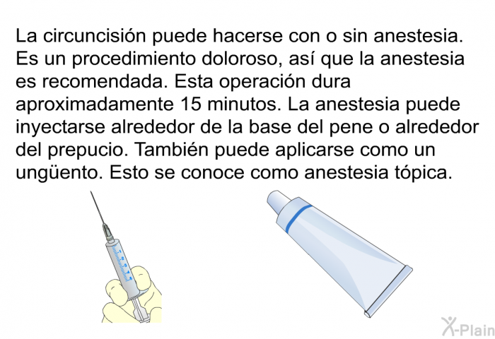 La circuncisin puede hacerse con o sin anestesia. Es un procedimiento doloroso, as que la anestesia es recomendada. Esta operacin dura aproximadamente 15 minutos. La anestesia puede inyectarse alrededor de la base del pene o alrededor del prepucio. Tambin puede aplicarse como un ungüento. Esto se conoce como anestesia tpica.