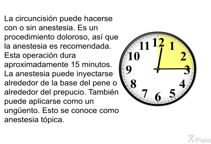 La circuncisin puede hacerse con o sin anestesia. Es un procedimiento doloroso, as que la anestesia es recomendada. Esta operacin dura aproximadamente 15 minutos. La anestesia puede inyectarse alrededor de la base del pene o alrededor del prepucio. Tambin puede aplicarse como un ungüento. Esto se conoce como anestesia tpica.