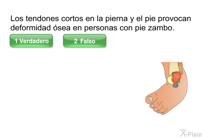 Los tendones cortos en la pierna y el pie provocan deformidad sea en personas con pie zambo.