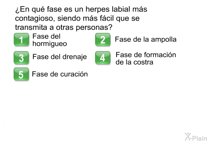 ¿En qu fase es un herpes labial ms contagioso, siendo ms fcil que se transmita a otras personas?  Fase del hormigueo Fase de la ampolla Fase del drenaje Fase de formacin de la costra Fase de curacin