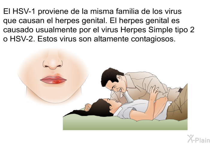 El HSV-1 proviene de la misma familia de los virus que causan el herpes genital. El herpes genital es causado usualmente por el virus Herpes Simple tipo 2 o HSV-2. Estos virus son altamente contagiosos.