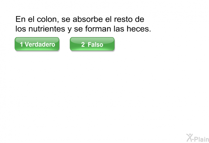 En el colon, se absorbe el resto de los nutrientes y se forman las heces.