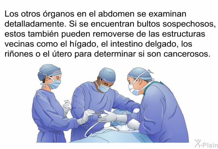 Los otros rganos en el abdomen se examinan detalladamente. Si se encuentran bultos sospechosos, estos tambin pueden removerse de las estructuras vecinas como el hgado, el intestino delgado, los riones o el tero para determinar si son cancerosos.
