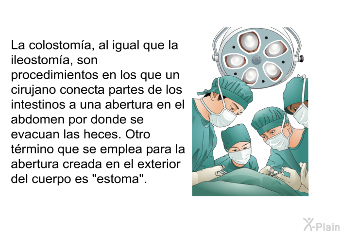 La colostoma, al igual que la ileostoma, son procedimientos en los que un cirujano conecta partes de los intestinos a una abertura en el abdomen por donde se evacuan las heces. Otro trmino que se emplea para la abertura creada en el exterior del cuerpo es “estoma”.