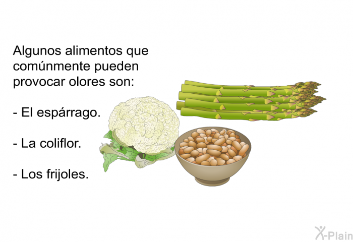 Algunos alimentos que comnmente pueden provocar olores son:  El esprrago. La coliflor. Los frijoles.