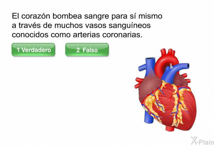 El corazn bombea sangre para s mismo a travs de muchos vasos sanguneos conocidos como arterias coronarias.