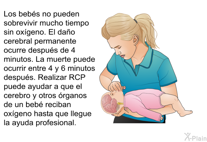 Los bebs no pueden sobrevivir mucho tiempo sin oxgeno. El dao cerebral permanente ocurre despus de 4 minutos. La muerte puede ocurrir entre 4 y 6 minutos despus. Realizar RCP puede ayudar a que el cerebro y otros rganos de un beb reciban oxgeno hasta que llegue la ayuda profesional.