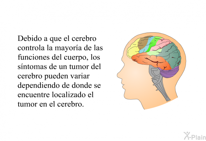 Debido a que el cerebro controla la mayora de las funciones del cuerpo, los sntomas de un tumor del cerebro pueden variar dependiendo de donde se encuentre localizado el tumor en el cerebro.