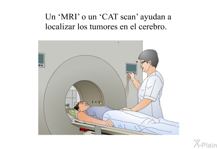 Un  MRI' o un  CAT scan' ayudan a localizar los tumores en el cerebro.