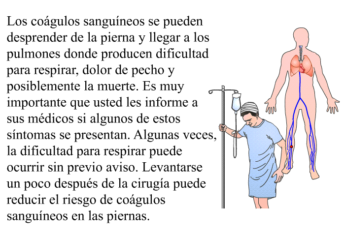 Los cogulos sanguneos se pueden desprender de la pierna y llegar a los pulmones donde producen dificultad para respirar, dolor de pecho y posiblemente la muerte. Es muy importante que usted les informe a sus mdicos si algunos de estos sntomas se presentan. 
 Algunas veces, la dificultad para respirar puede ocurrir sin previo aviso. 
 Levantarse un poco despus de la ciruga puede reducir el riesgo de cogulos sanguneos en las piernas.