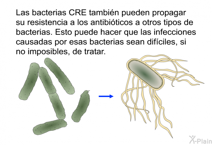 Las bacterias CRE tambin pueden propagar su resistencia a los antibiticos a otros tipos de bacterias. Esto puede hacer que las infecciones causadas por esas bacterias sean difciles, si no imposibles, de tratar.
