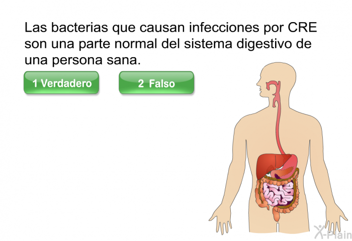 Las bacterias que causan infecciones por CRE son una parte normal del sistema digestivo de una persona sana. Escoja verdadero o falso.