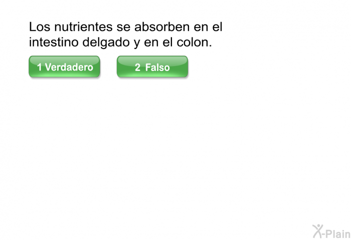 Los nutrientes se absorben en el intestino delgado y en el colon.