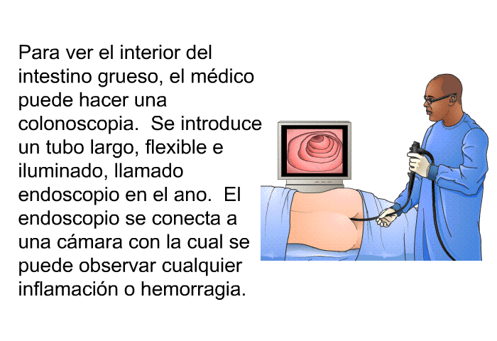 Para ver el interior del intestino grueso, el mdico puede hacer una colonoscopia. Se introduce un tubo largo, flexible e iluminado, llamado <I>endoscopio</I> en el ano. El endoscopio se conecta a una cmara con la cual se puede observar cualquier inflamacin o hemorragia.