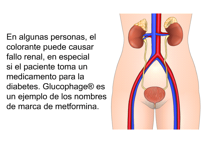 En algunas personas, el colorante puede causar fallo renal, en especial si el paciente toma un medicamento para la diabetes. Glucophage<SUP> </SUP> es un ejemplo de los nombres de marca de metformina.