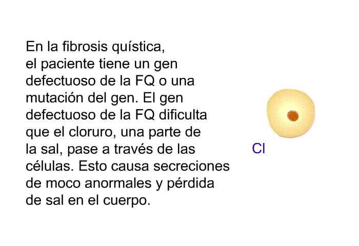 En la fibrosis qustica, el paciente tiene un gen defectuoso de la FQ o una mutacin del gen. El gen defectuoso de la FQ dificulta que el cloruro, una parte de la sal, pase a travs de las clulas. Esto causa secreciones de moco anormales y prdida de sal en el cuerpo.
