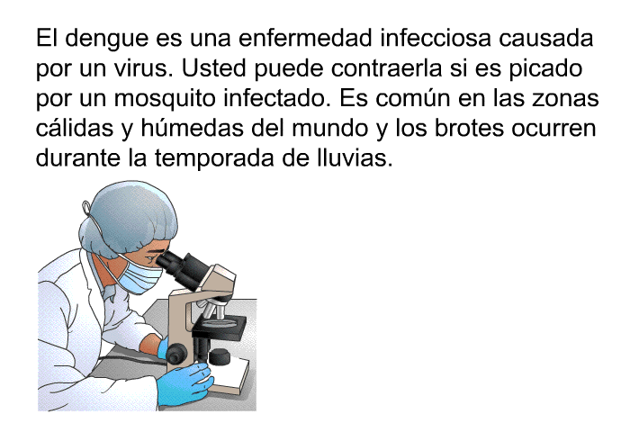 El dengue es una enfermedad infecciosa causada por un virus. Usted puede contraerla si es picado por un mosquito infectado. Es comn en las zonas clidas y hmedas del mundo y los brotes ocurren durante la temporada de lluvias.