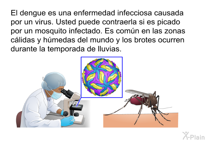 El dengue es una enfermedad infecciosa causada por un virus. Usted puede contraerla si es picado por un mosquito infectado. Es comn en las zonas clidas y hmedas del mundo y los brotes ocurren durante la temporada de lluvias.