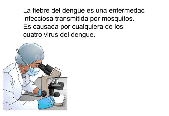La fiebre del dengue es una enfermedad infecciosa transmitida por mosquitos. Es causada por cualquiera de los cuatro virus del dengue.