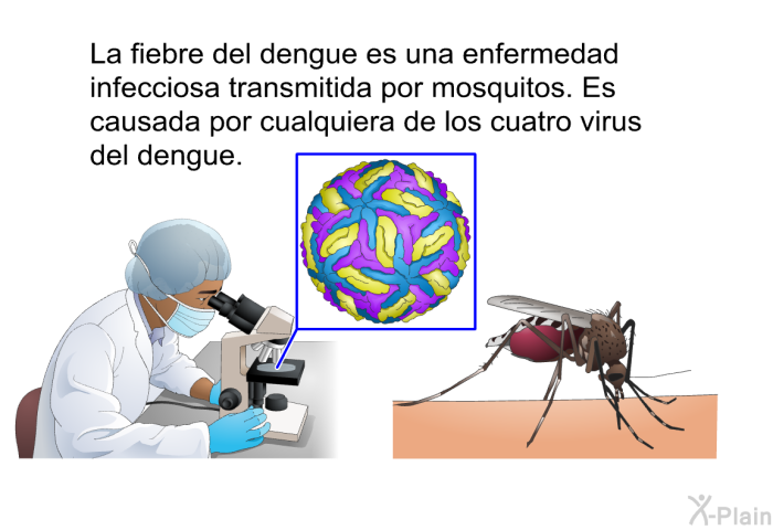 La fiebre del dengue es una enfermedad infecciosa transmitida por mosquitos. Es causada por cualquiera de los cuatro virus del dengue.