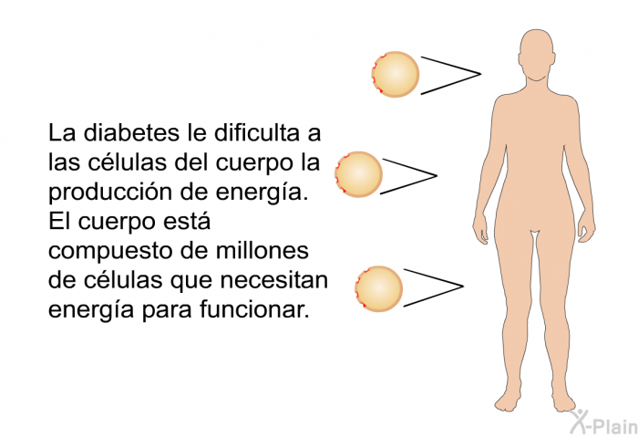 La diabetes le dificulta a las clulas del cuerpo la produccin de energa. El cuerpo est compuesto de millones de clulas que necesitan energa para funcionar.