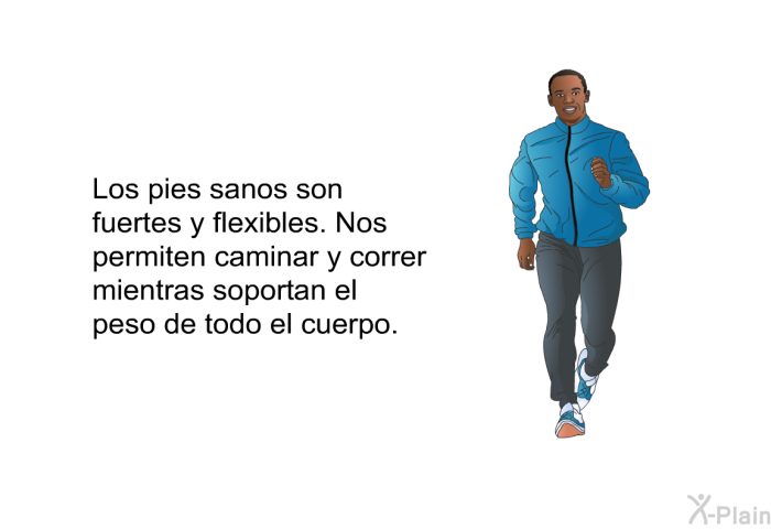 Los pies sanos son fuertes y flexibles. Nos permiten caminar y correr mientras soportan el peso de todo el cuerpo.