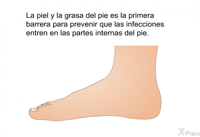 La piel y la grasa del pie es la primera barrera para prevenir que las infecciones entren en las partes internas del pie.