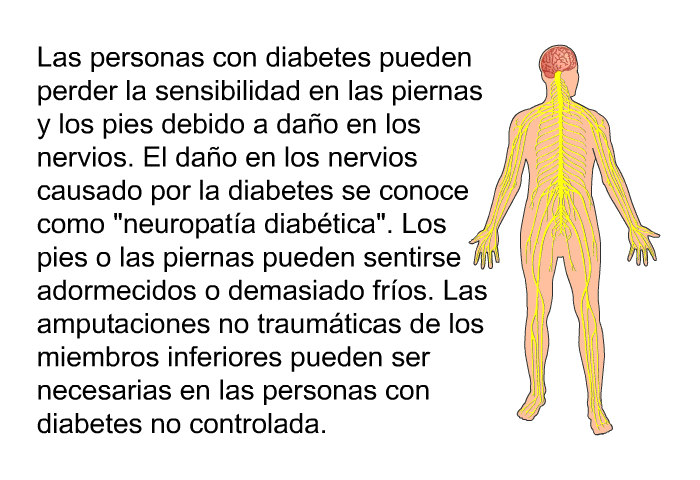Las personas con diabetes pueden perder la sensibilidad en las piernas y los pies debido a da�o en los nervios. El da�o en los nervios causado por la diabetes se conoce como &ldquo;neuropat�a diab�tica&rdquo;. Los pies o las piernas pueden sentirse adormecidos o demasiado fr�os. Las amputaciones no traum�ticas de los miembros inferiores pueden ser necesarias en las personas con diabetes no controlada.
