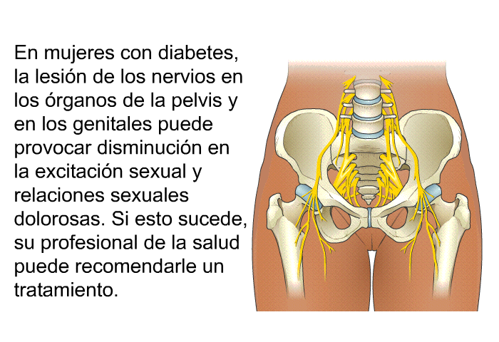En mujeres con diabetes, la lesi�n de los nervios en los �rganos de la pelvis y en los genitales puede provocar disminuci�n en la excitaci�n sexual y relaciones sexuales dolorosas. Si esto sucede, su profesional de la salud puede recomendarle un tratamiento.