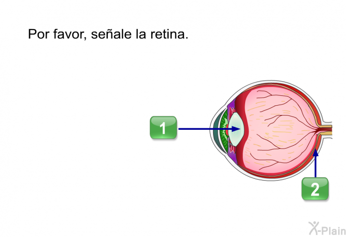 Por favor, seale la retina.