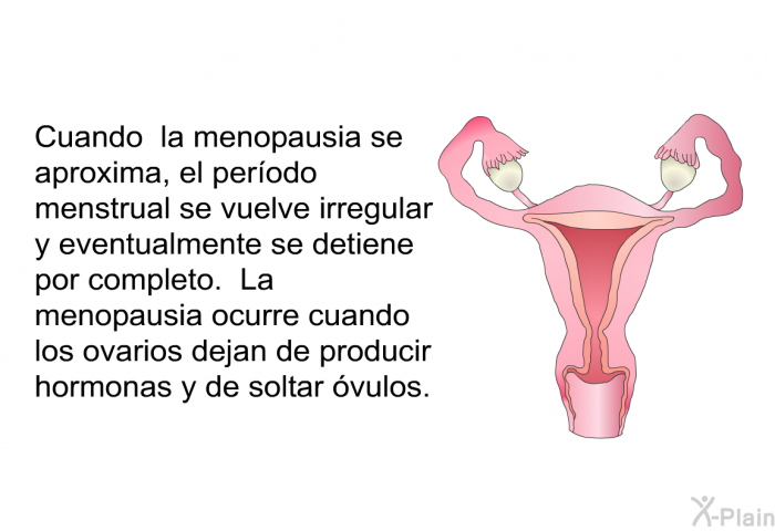 Cuando la menopausia se aproxima, el perodo menstrual se vuelve irregular y eventualmente se detiene por completo. La menopausia ocurre cuando los ovarios dejan de producir hormonas y de soltar vulos.