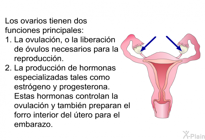 Los ovarios tienen dos funciones principales:  La ovulacin, o la liberacin de vulos necesarios para la reproduccin. La produccin de hormonas especializadas tales como estrgeno y progesterona. Estas hormonas controlan la ovulacin y tambin preparan el forro interior del tero para el embarazo.