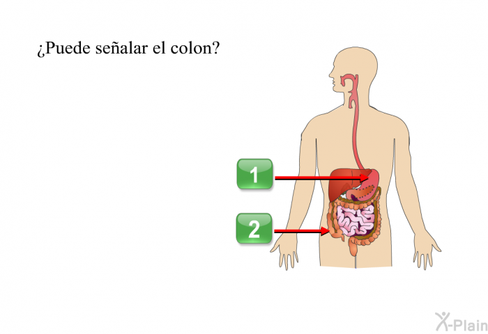 ¿Puede sealar el colon? Presione A o B.