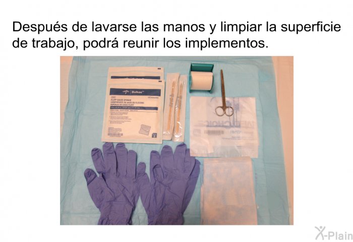 Despus de lavarse las manos y limpiar la superficie de trabajo, podr reunir los implementos.