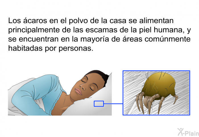 Los caros en el polvo de la casa se alimentan principalmente de las escamas de la piel humana, y se encuentran en la mayora de reas comnmente habitadas por personas.